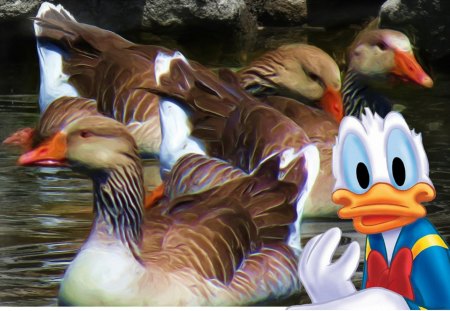 Having a little fun with it - oil paint, ducks, donald duck, enhanced