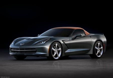 2014 CHEVY CORVETTE C7 STINGRAY - stingray, corvette, chevrolet, sportscar