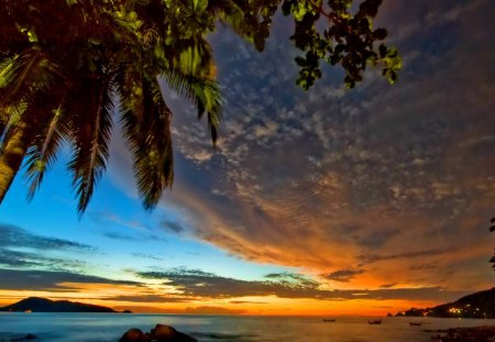 Sunset, clouds, sea, Palm trees