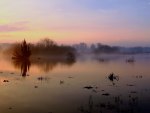 Misty Lake