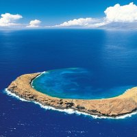exotic island