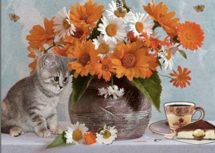 Good morning - flowers, cake, cat, coffee