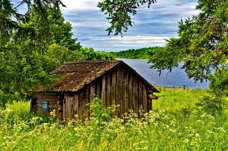 Wooden cottage near river - pretty, lonely, summer, cabin, creek, grass, flowers, shore, riverbank, plants, nice, hut, cottage, sky, house, greenery, trees, water, beautiful, lovely, river, nature, green