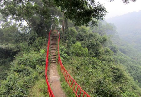 Mountaineering - mountaineering, trees, mountain, trail, mist