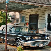 vintage ford thunderbird in old driveway hdr