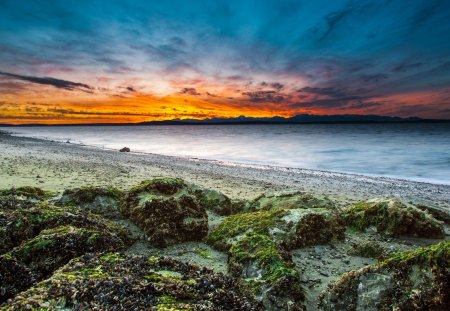 fantastic moss and muscles covered beach - moss, rocks, muscles, clouds, beach, sunset, sea