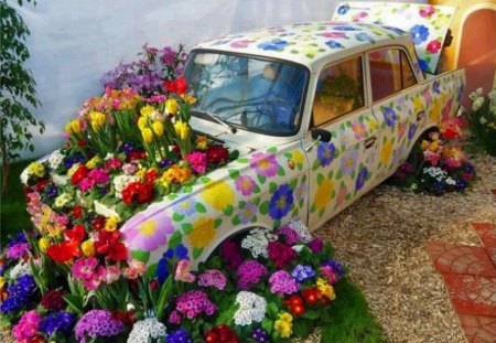 Put to use - garden, decoration, car, display, flowers, colors