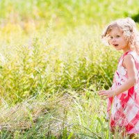 cute little girl on the meadow