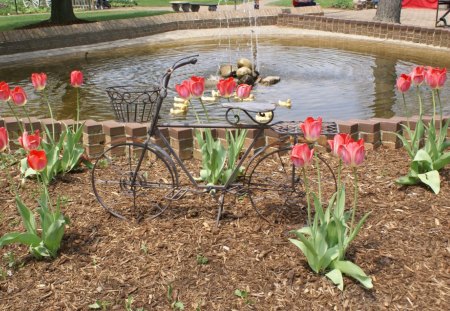 Bicycle In Tulips With Ducks - ducks, bike, foilage, tulips, flowers, bicycle, plants