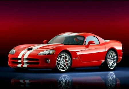 dodge viper - fun, dodge, car, viper