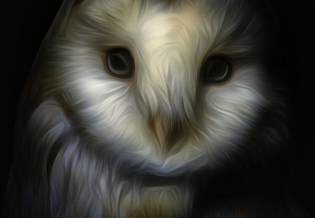 FRACTAL OWL - fractal, art, owl, pretty