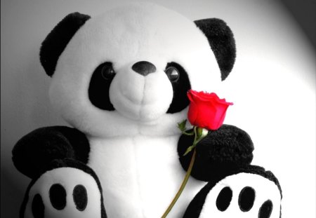 TEDDY WITH RED ROSE - CUTE, ROSE, RED, TEDDY