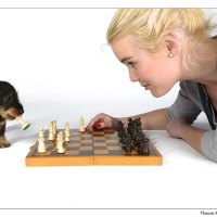 Playing chess