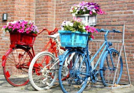 Florist bikes - flowers, bike, bikes, florist