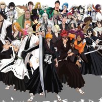 bleach herose