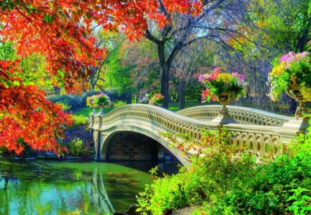 Autumn in park - season, autumn, trees, park, place, nature, river, beautiful, flowers, colors, bridge