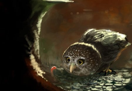 Owl - bird, painting, art, red, insect, feather, animal, owl, worm