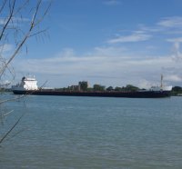 Freighter Tim S. Dool