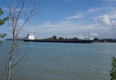 Freighter Tim S. Dool - Ore Carrier, Freighter, Detroit River, Tim Dool, Belle Isle