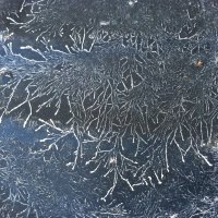 Bird bath frost