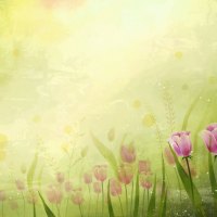 Tulips background