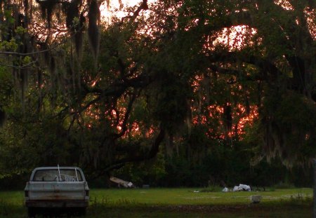 sunset in bayou country - sunset, bayou, old, country