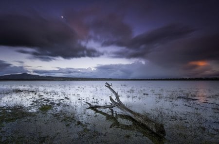 muddy beach at dusk - clouds, branch, beach, mud, dusk