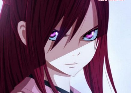 elza scarlet - erza, elza, titania, fairy, tail