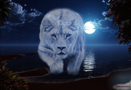 Blue Lion Cove - Lion, Ocean, Moonlite, Cove