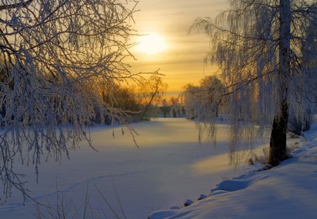 frozen river - sundown, winter, trees, river