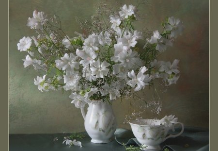 Still life - flowers, white, still life, soft