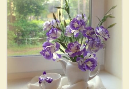 Purple Still life - flowers, vase, white, purple