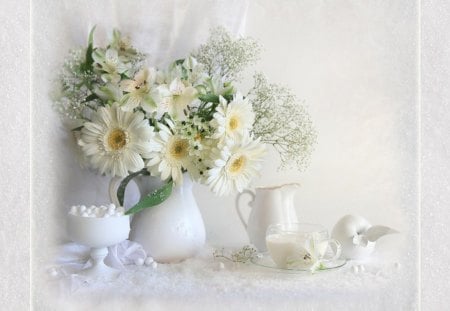 Still life - flowers, white, gerbera, soft