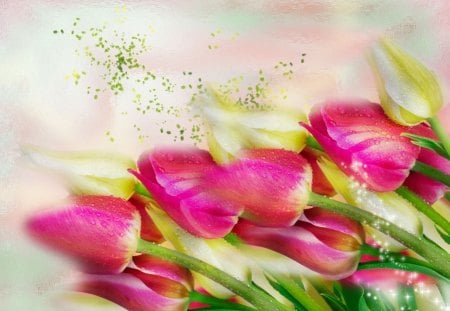 Tulip Spray - pretty, pink, tulips, beautiful, flowers, leaves, bouquest, spray, nature, green