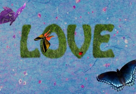 Love with butterflies - love, butterfly, word, grass