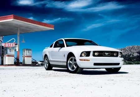 mustang - fun, ford, mustang, cars