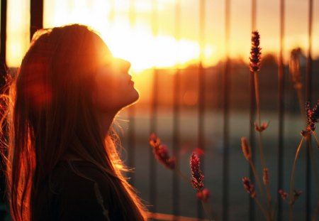 girl_in_sunset - beutiful, sunset, people, nature, photography, girl