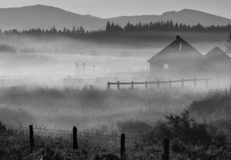 morning fog on an oregon farm - fog, fences, fields, black and white, morning, farm