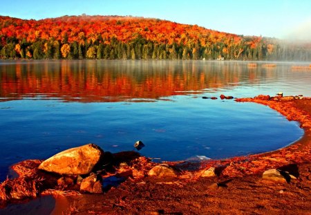 autumn lake at sunrise - lake, forest, shore, sunrise, mist