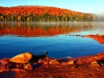 autumn lake at sunrise