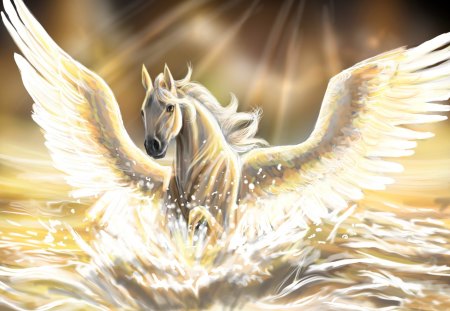 Angel from home - water, beautiful, beauty, angel, lovely, horse, colorful, animal, peaceful, shine