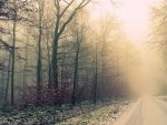 HD Wallpaper Foggy Weather