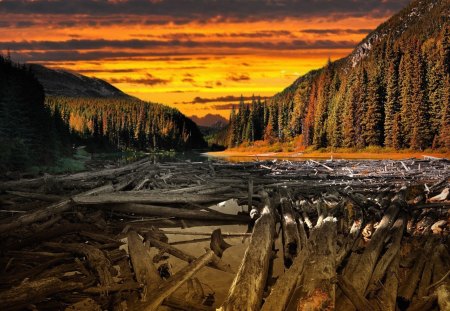 logs on a river surrounded by forests - mountain, forests, logs, river, sunset