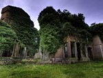 ruins overrun by nature