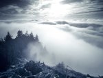 mountain peak above the clouds