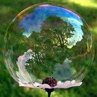 bubble reflection