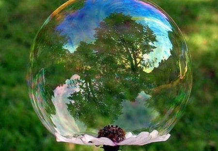 bubble reflection - fun, abstract, 3d, reflection