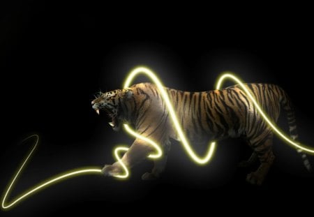 tiger light - 3d, fantasy, tiger, hd