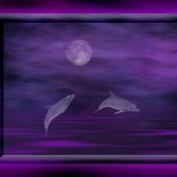 MOONLIT DOLPHINS