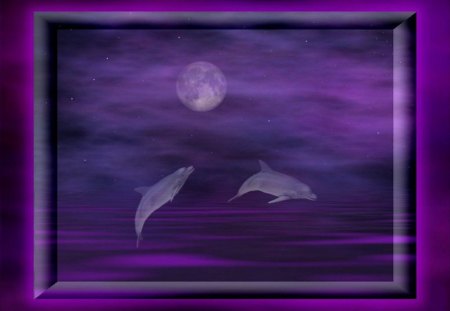 MOONLIT DOLPHINS - sky, ocean, stars, moonlit, animals, night, dolphins